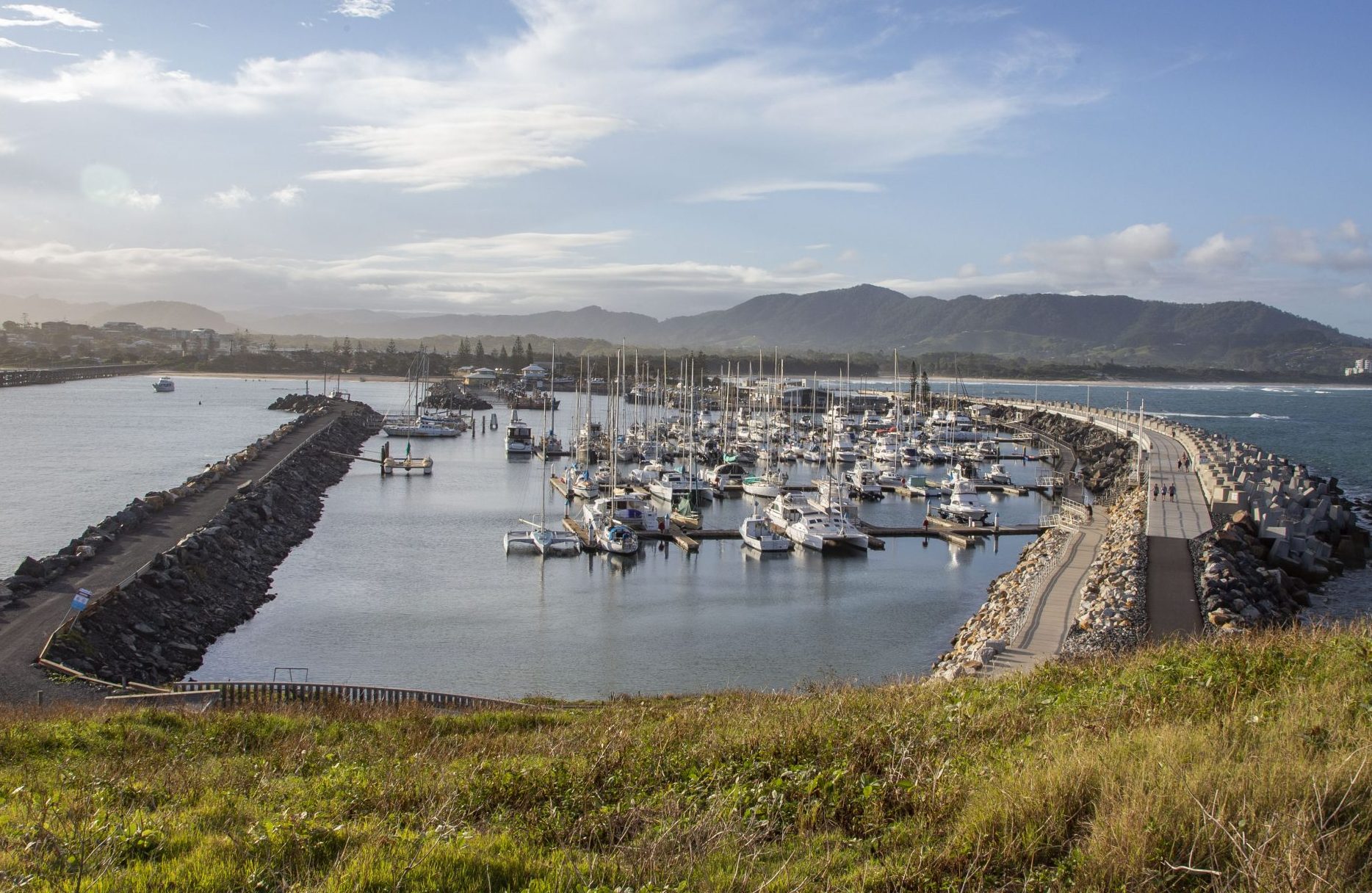 Muttonbird Island Views