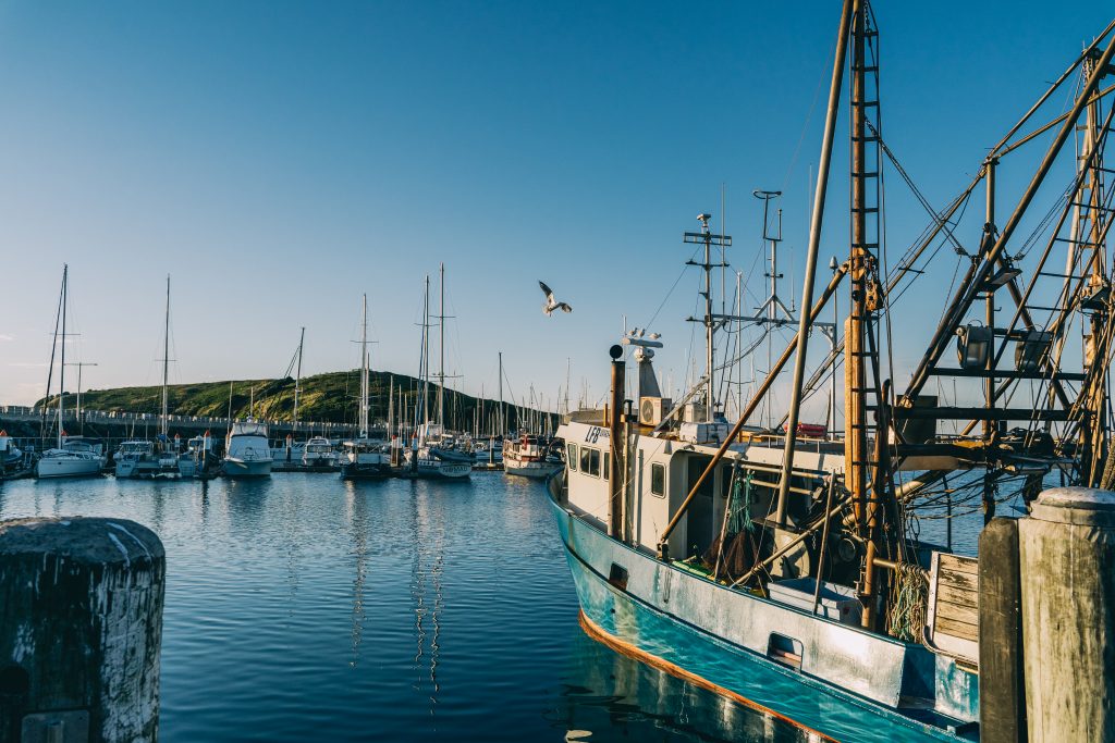 Coffs Harbour International Marina