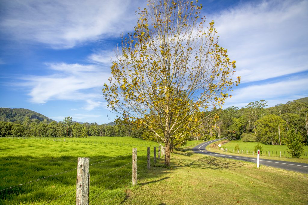 Orara Valley Scenic Drive