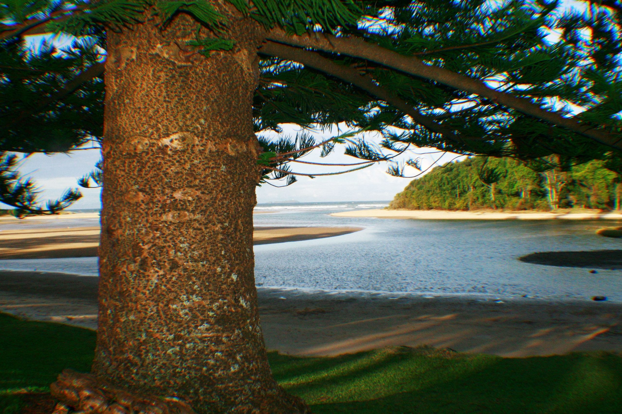 Moonee Beach
