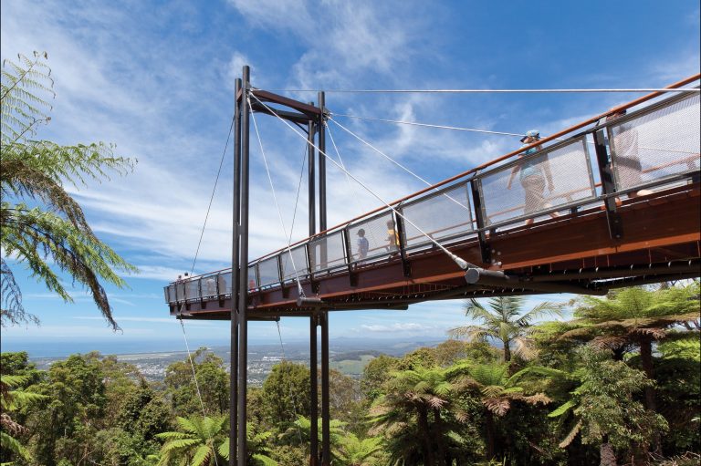 The Forest Sky Pier at Sealy Lookout