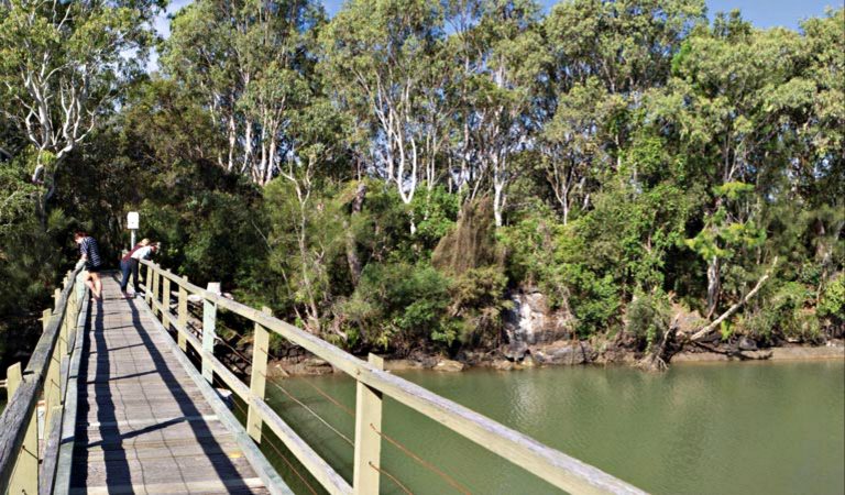 Walkway over Woolgoolga Lake. Photo: Rob Cleary