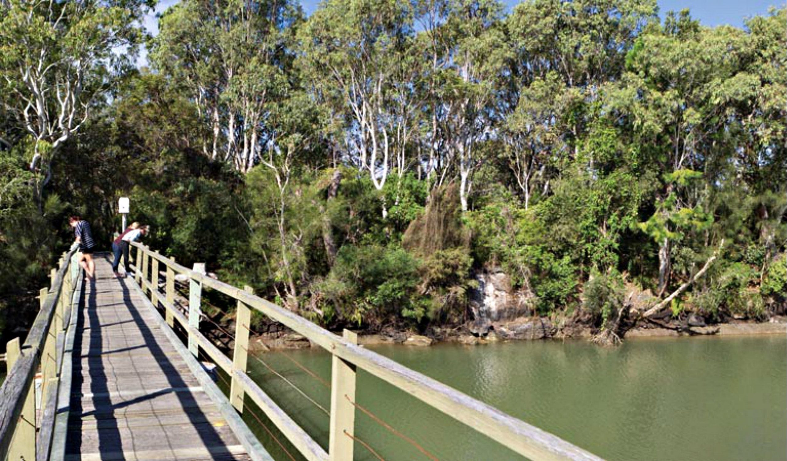 Walkway over Woolgoolga Lake. Photo: Rob Cleary