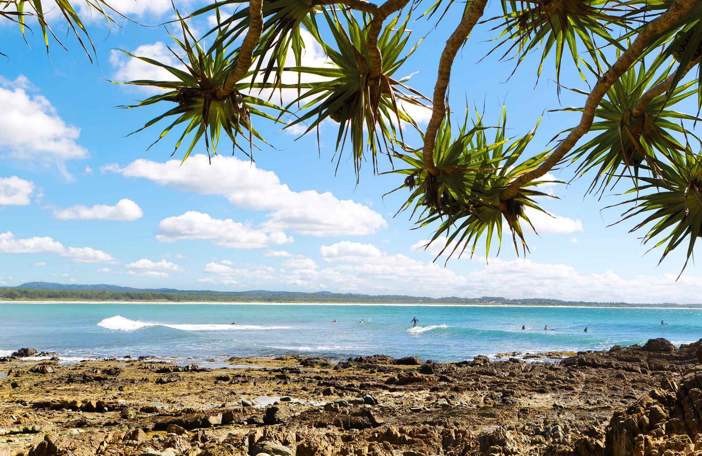 Surfers on the break. Photo: Rob Cleary