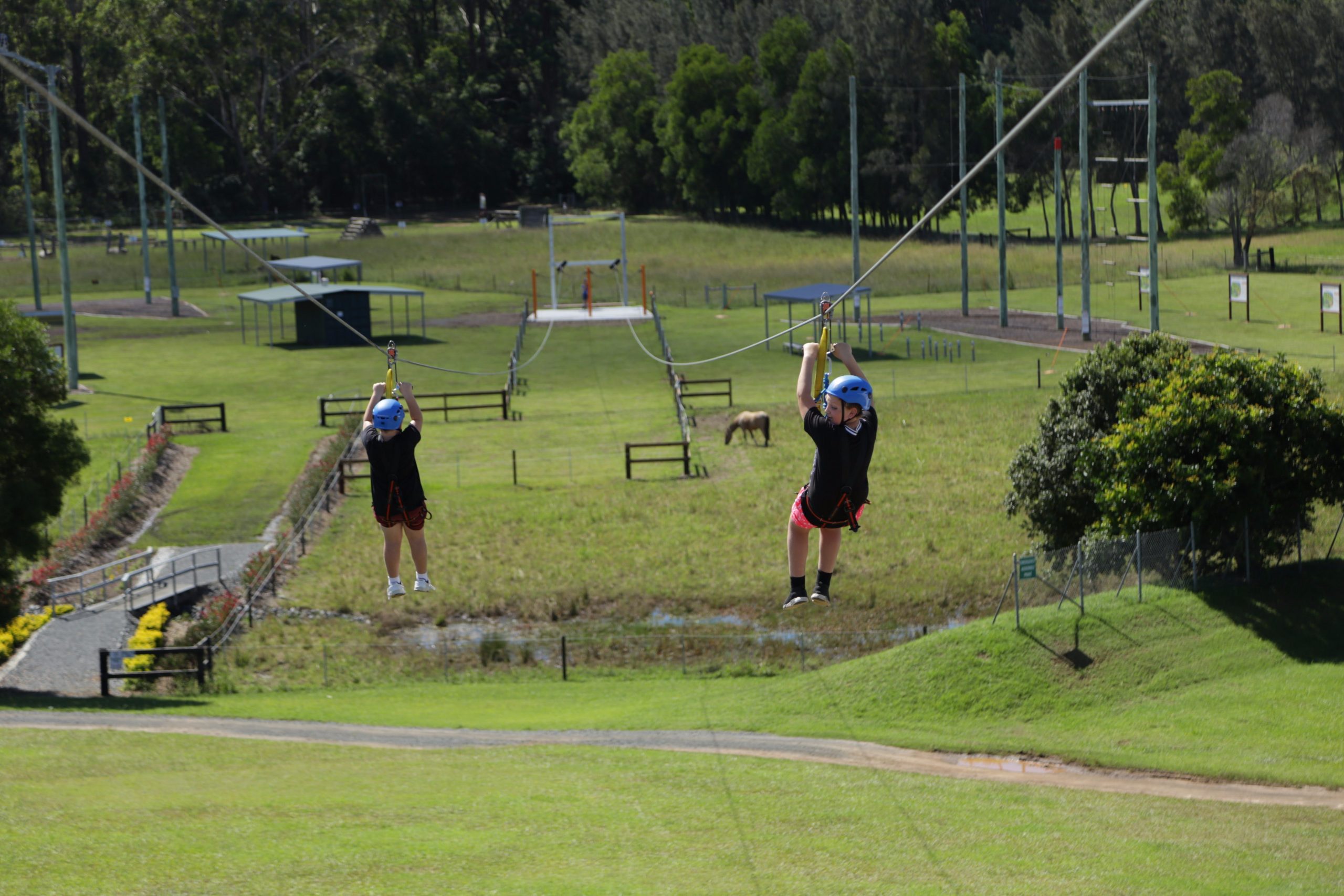 Flying fox activity for your school camp or activity day