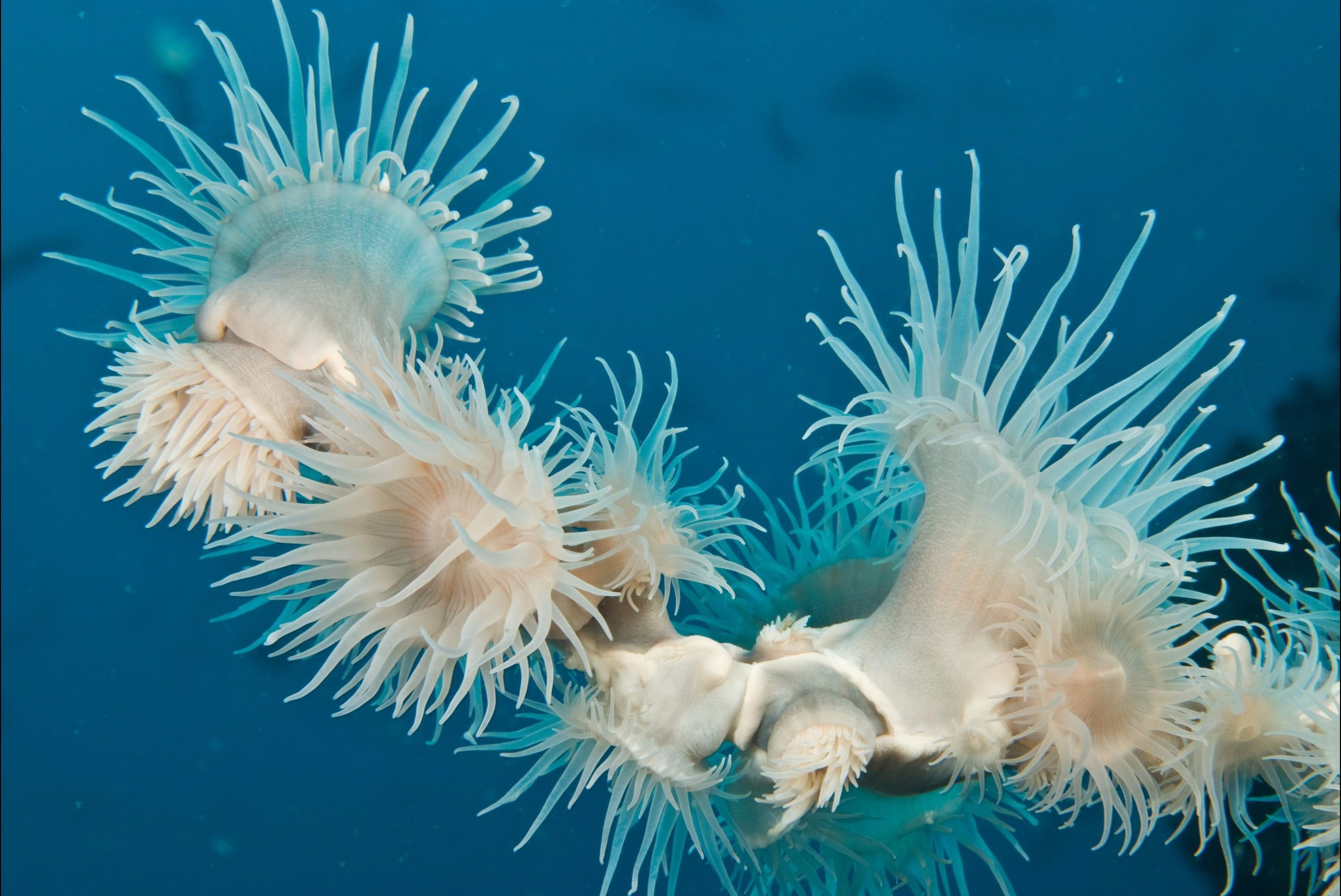 Solitary Islands Marine Park