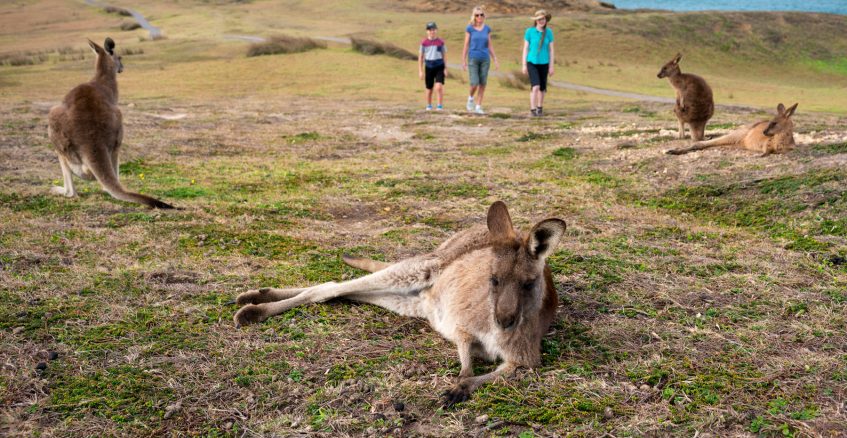 Look At Me Now Headland
