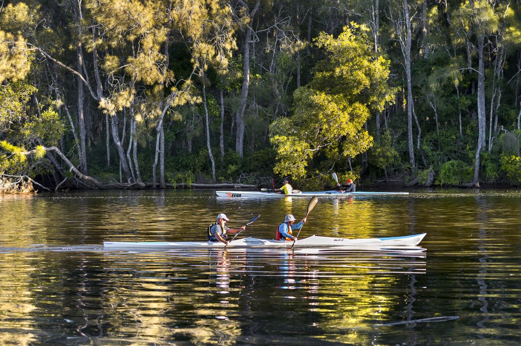 Kayaking on Bonville Creek