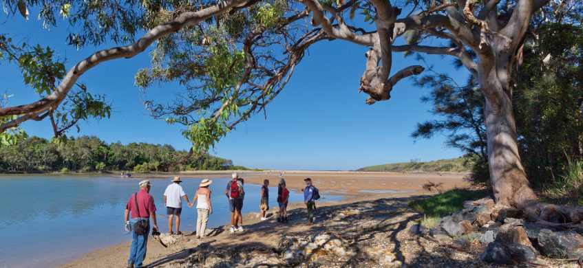 Stroll along Moonee Creek