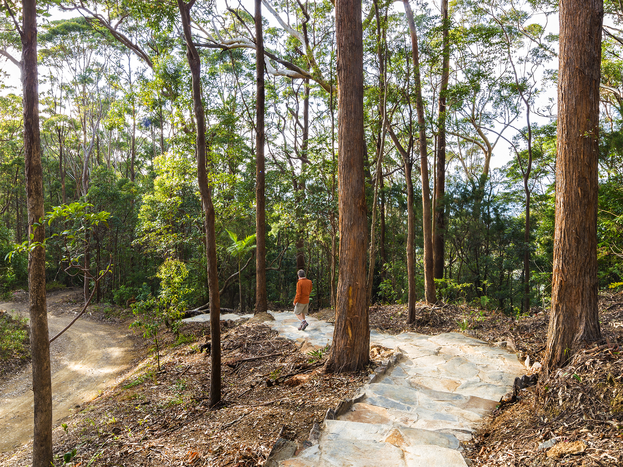 Ulidarra National Park