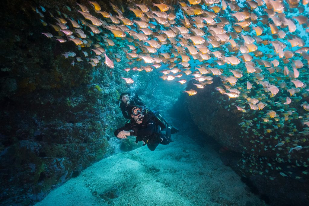 Solitary Islands Marine Park adventure under the water