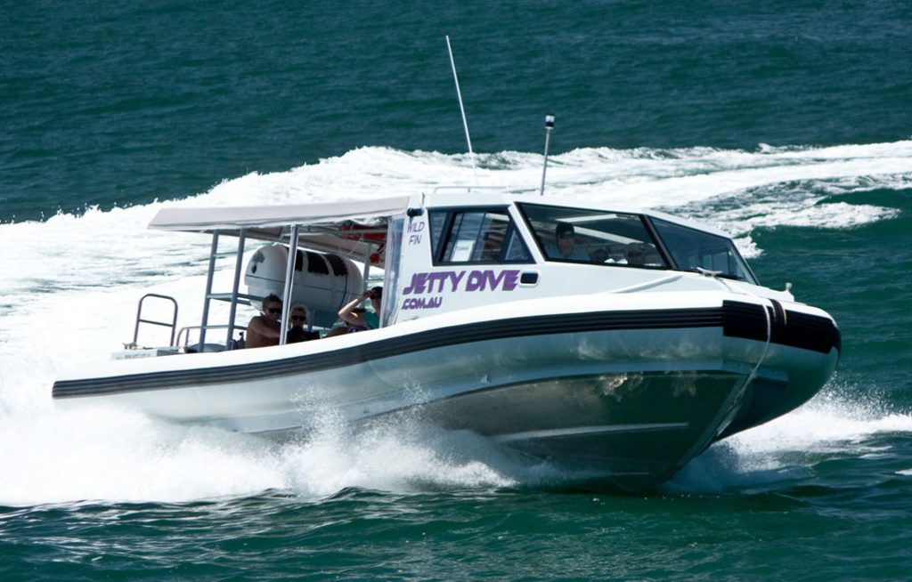 Jetty Dive Mega Wild