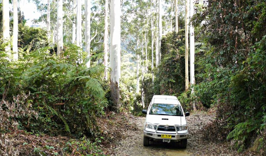 Orara Escarpment 4WD