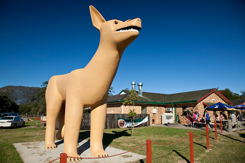 The Golden Dog, Glenreagh