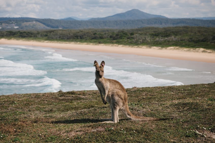 Woolgoolga to Moonee Beach