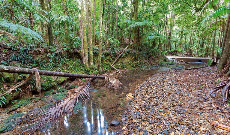 Ulidarra National Park