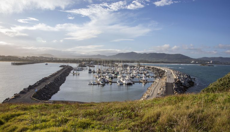 Muttonbird Island Views