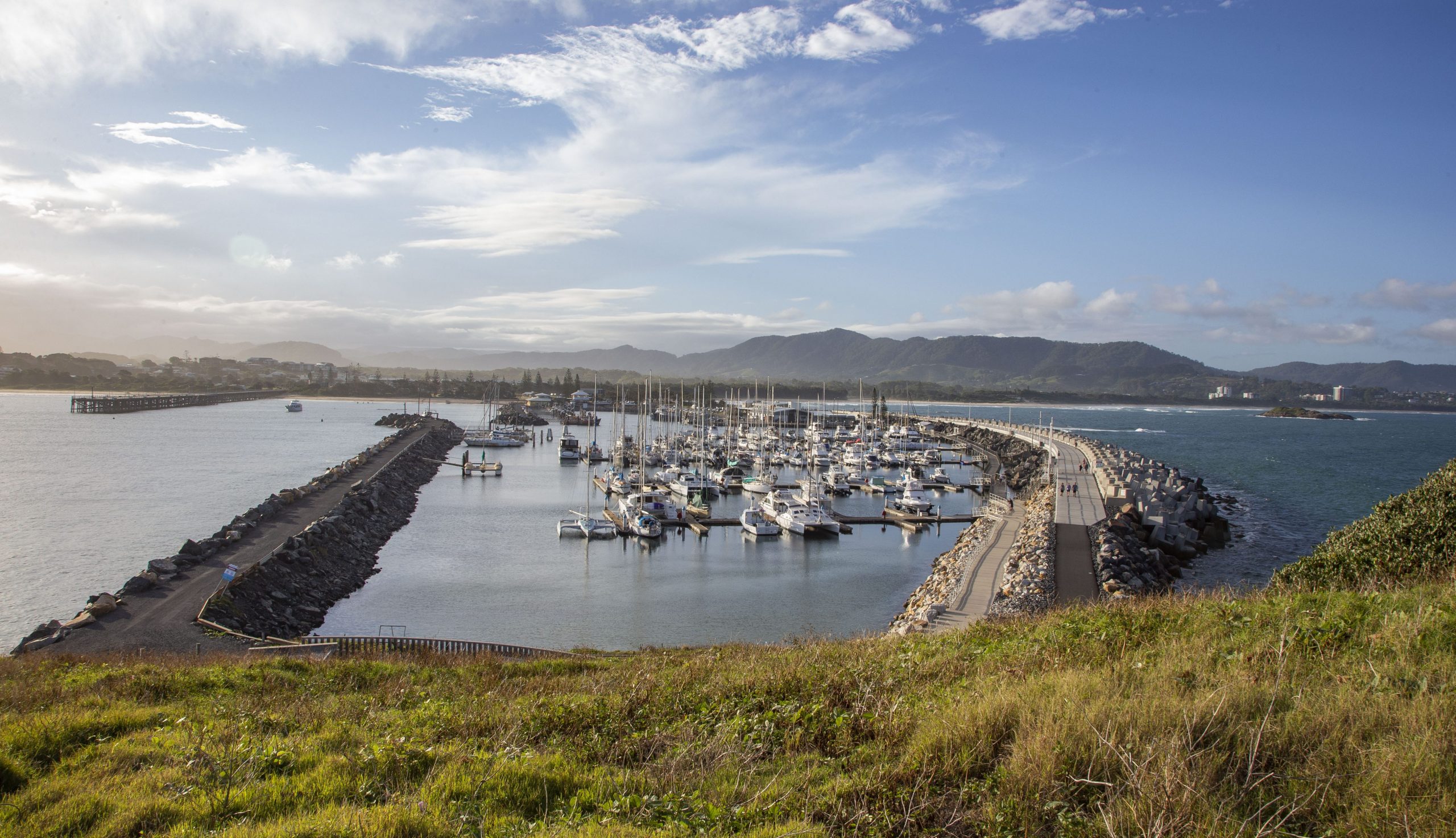 Muttonbird Island Views