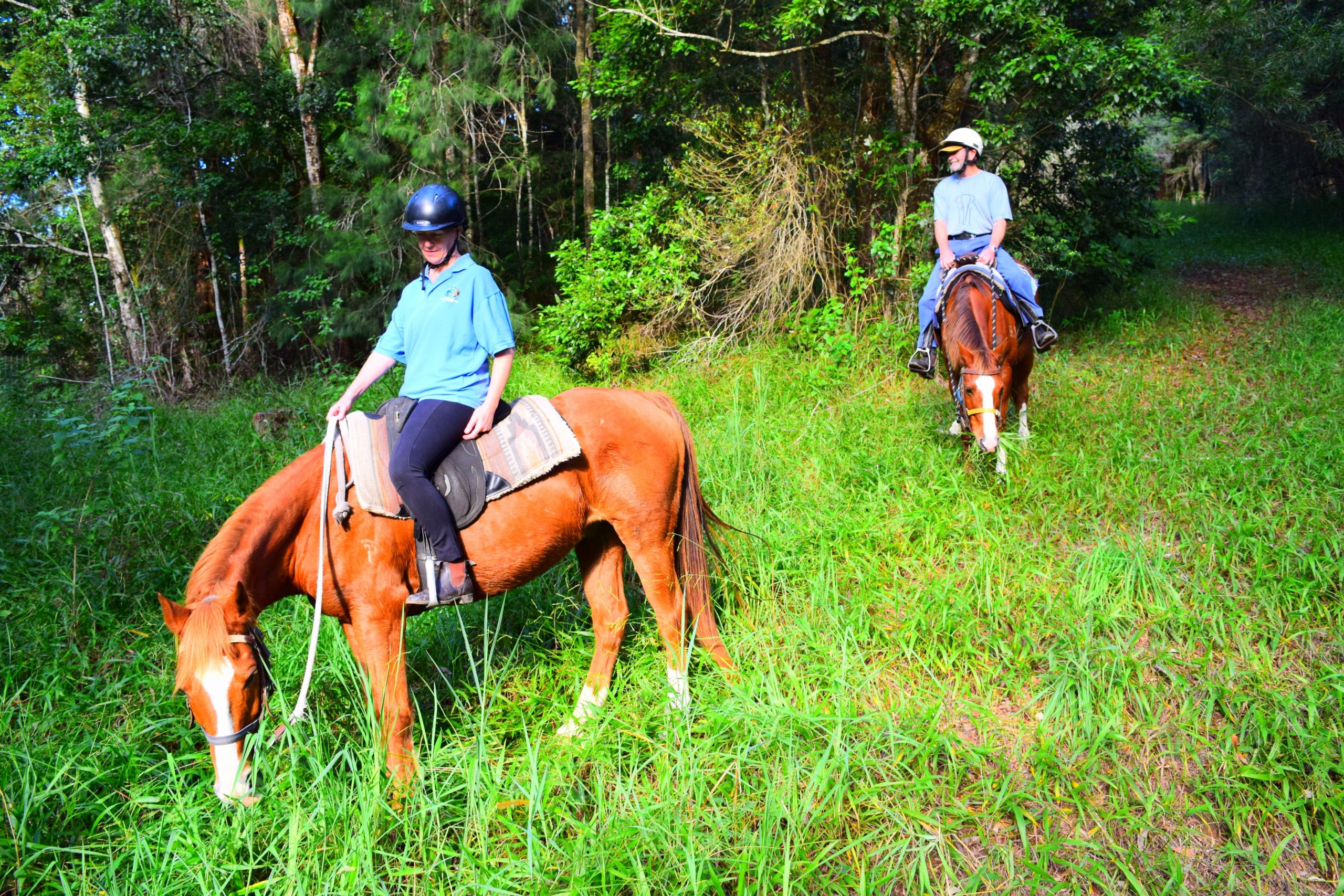 HWH Stables Rainforest Ride