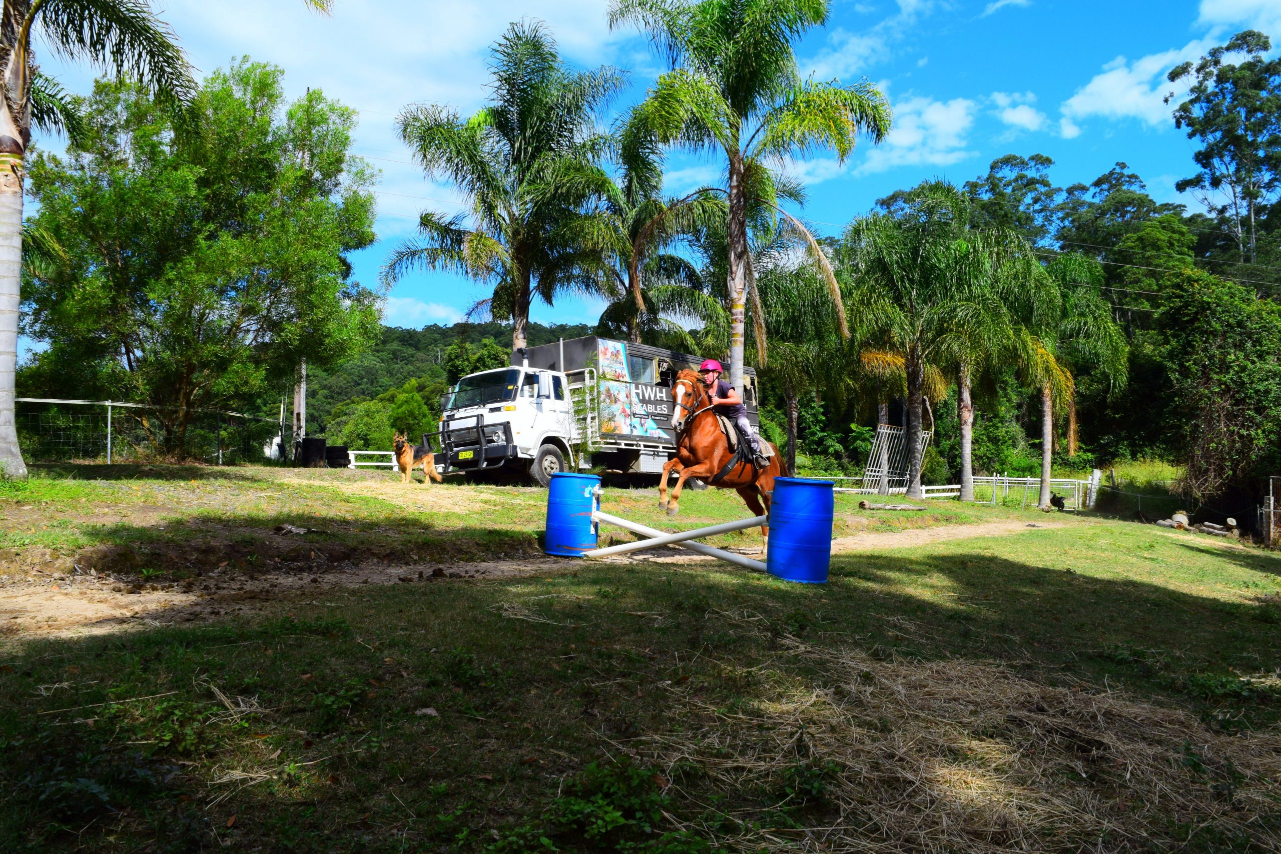 HWH Stables Riding School