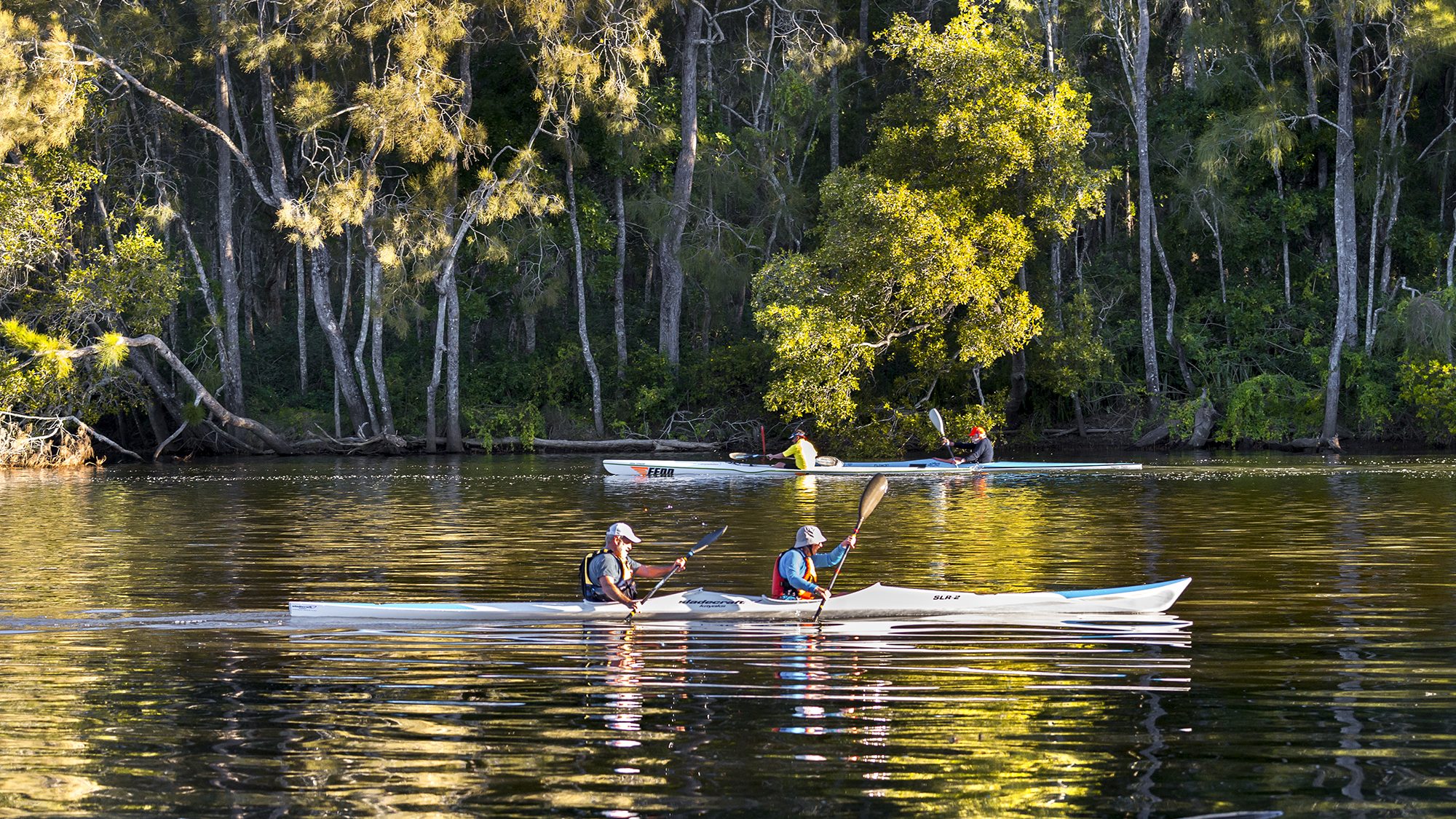 Kayaking on Bonville Creek