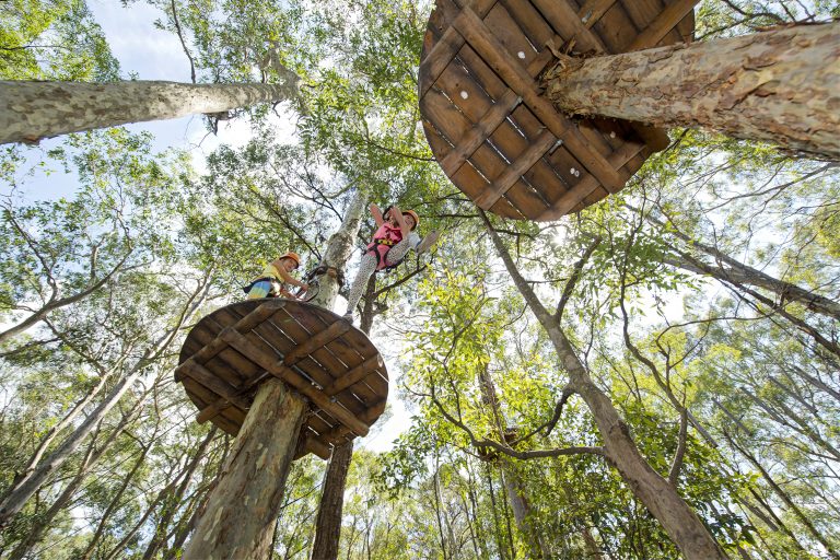 Treetop Adventure Park
