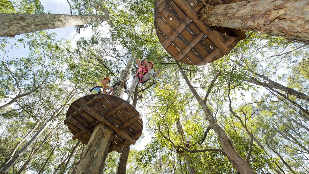 Treetop Adventure Park