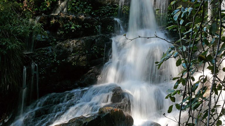 Bangalore Falls, Bindarri National Park