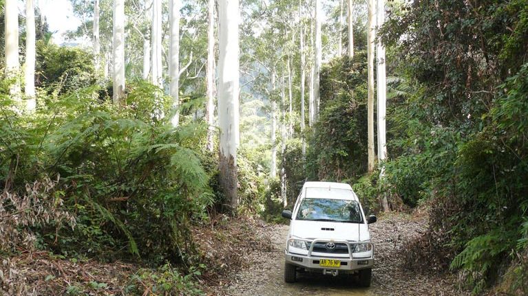 4WDing in Bindarri National Park