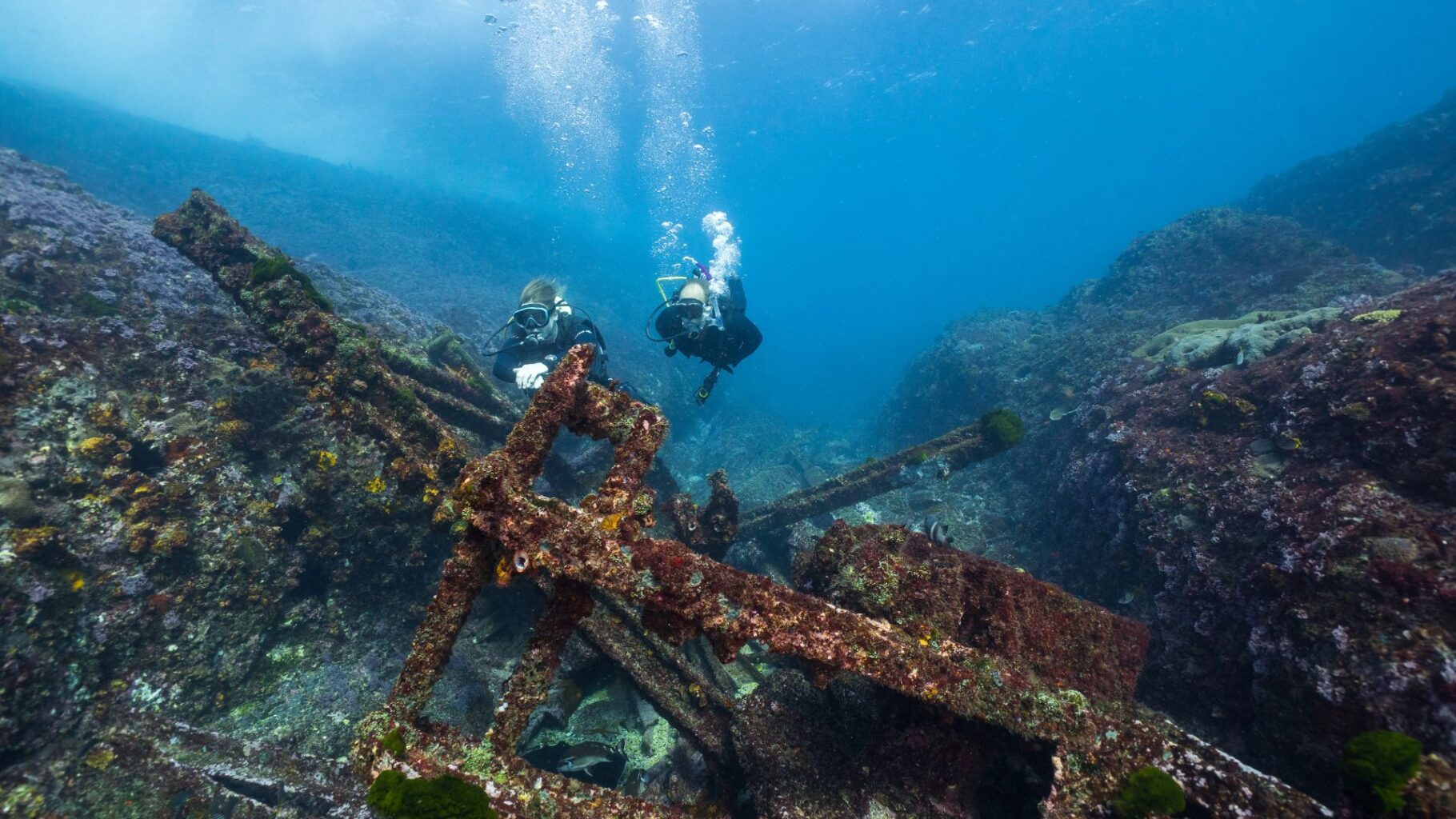 The Gantry Dive Site - An Old Gantry Crane For Loading Supplies Onto The Island Collapsed Into The Ocean
