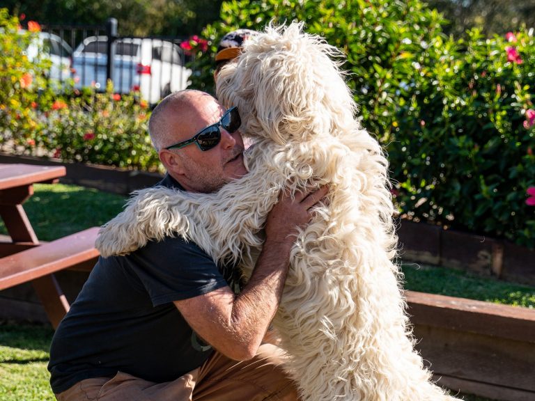 Moonee Beach Hotel Dog Friendly