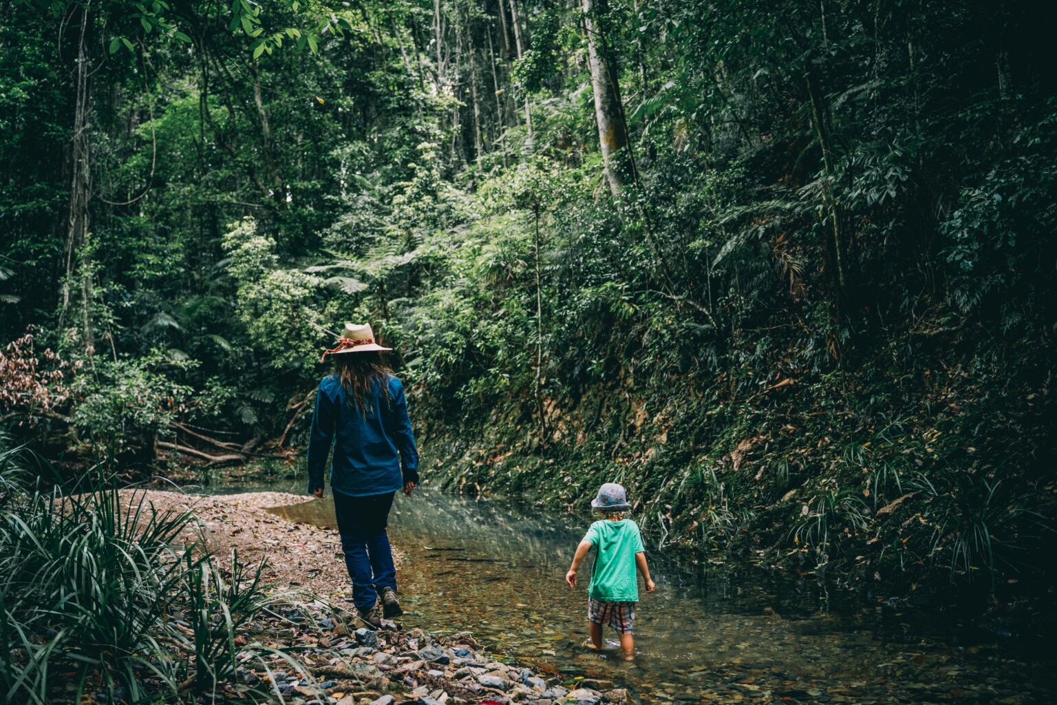 Forest Bathing In Beautiful National Parks And State Forests