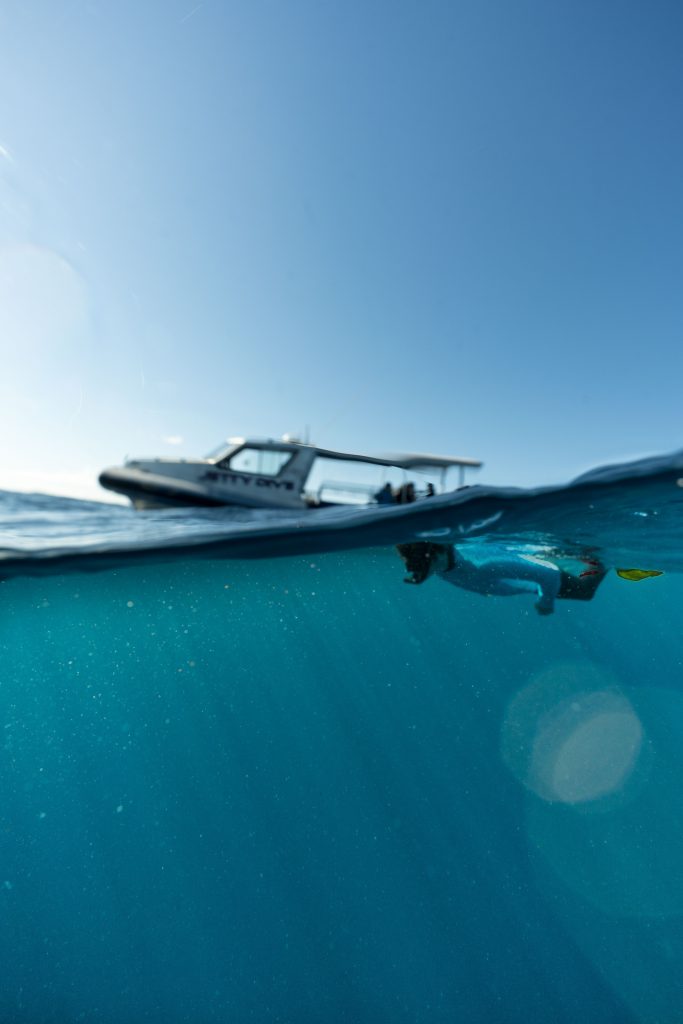 Explore The Solitary Island Marine Park With Jetty Dive
