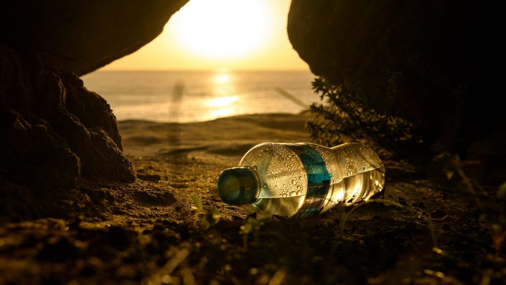 Leave No Trace On Your Coffs Coast Holiday