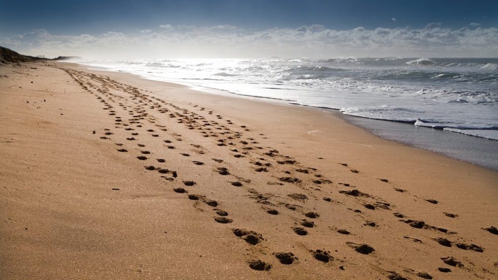 Leave Nothing But Footprints