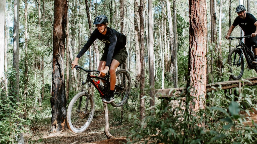 Wedding Bells State Forest Mountain Bike Trail