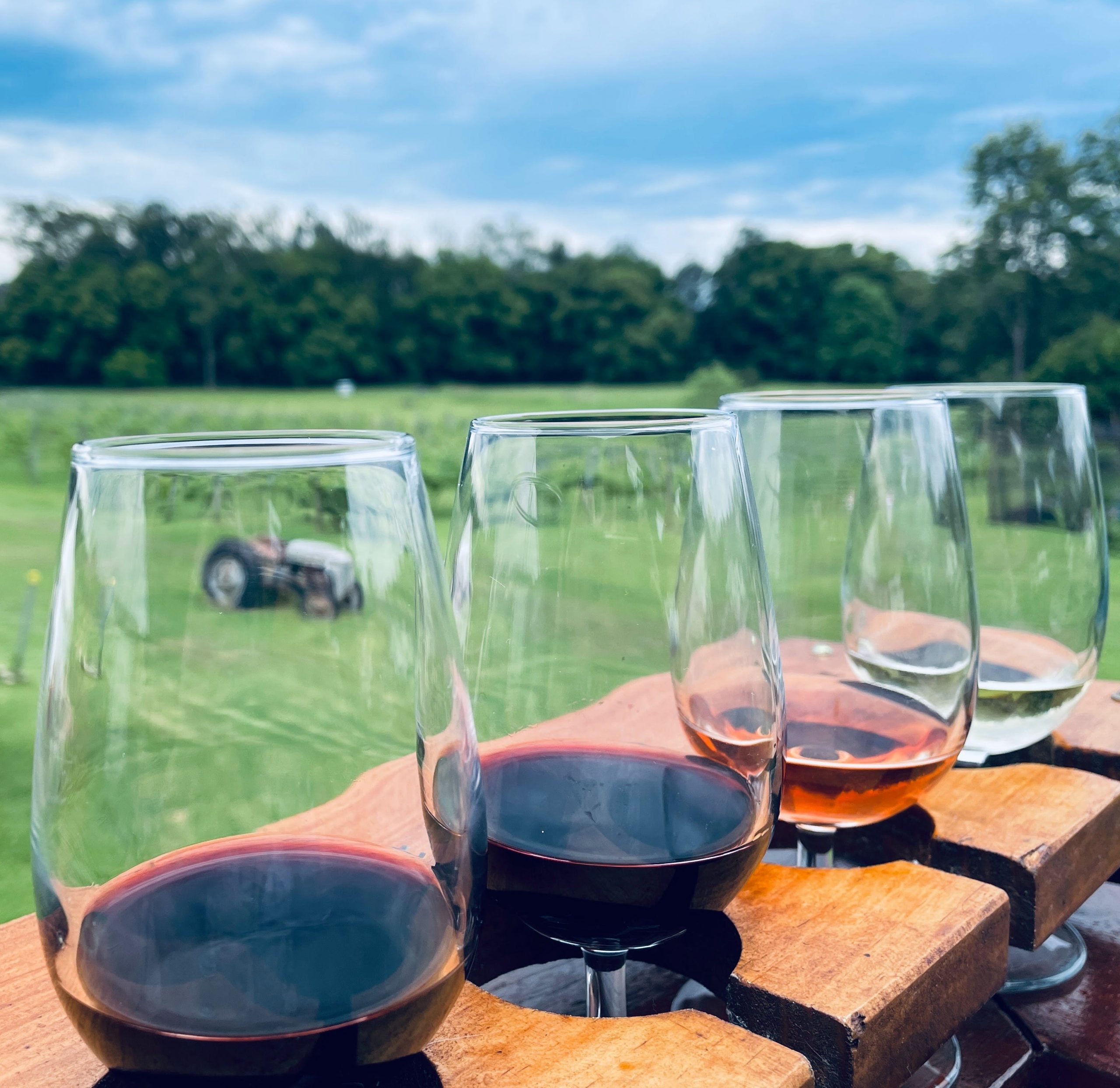 Two Tails Wines and vineyard