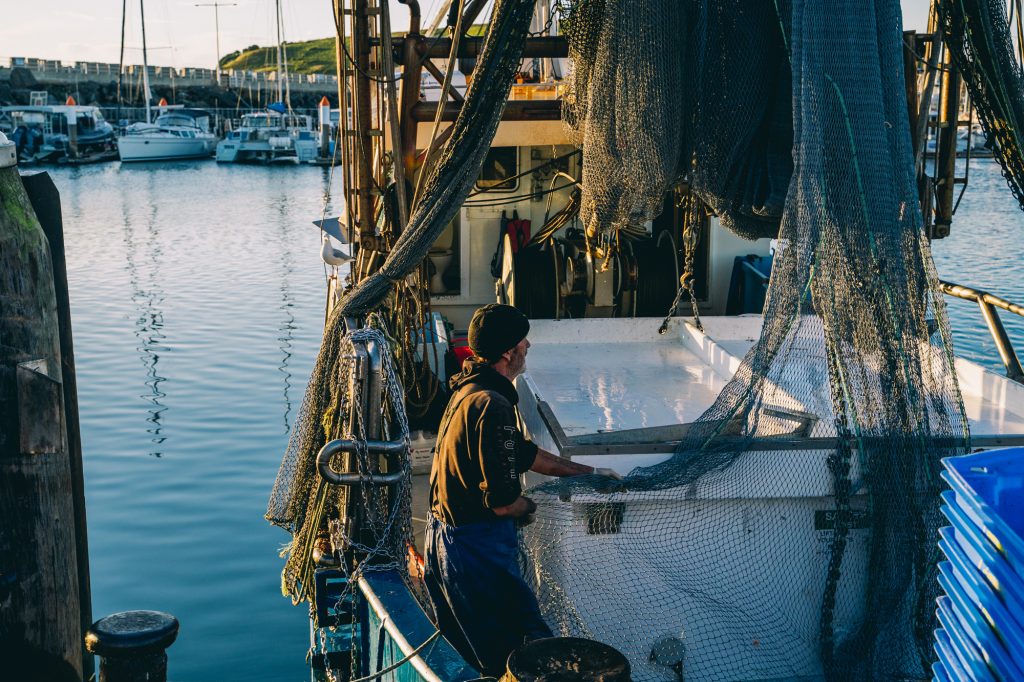 Get The Freshest Seafood On The Coffs Coast From The Co-op