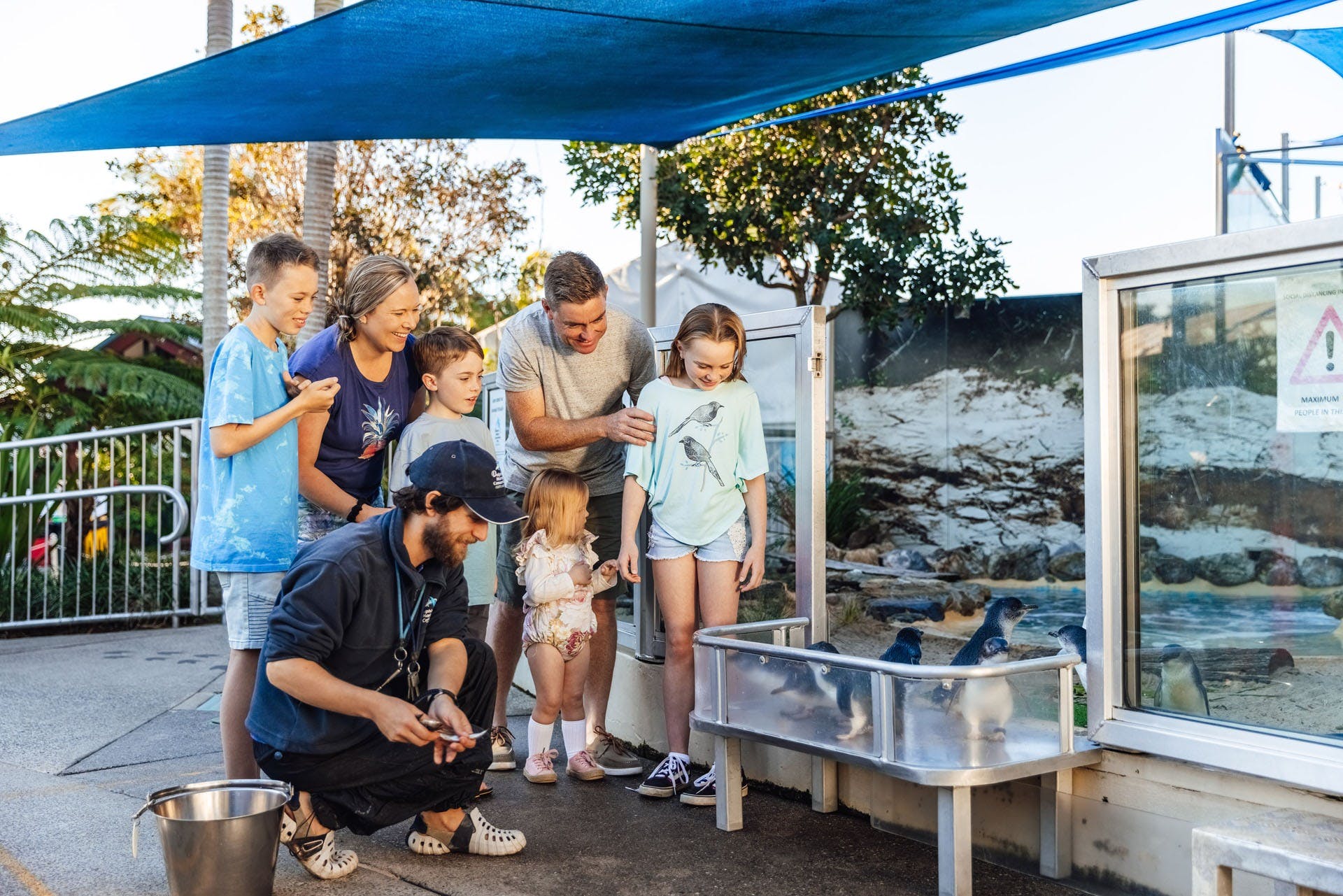 Dolphin Marine Conservation Park