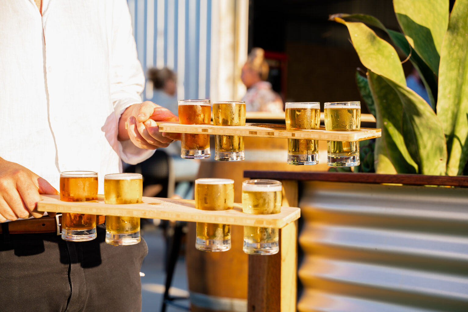 Paddle Boards At Woopi Brewing Co