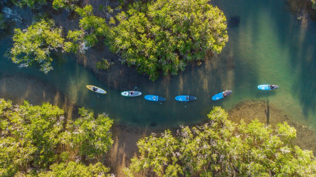 Standup Paddle Boarding on Moonee Creek with Wajaana Yaam Adventure Tours
