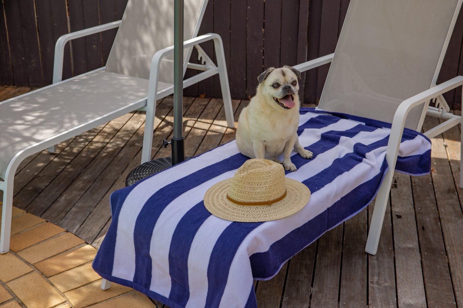 Coffs Coast Accomodation Fairways Beach House