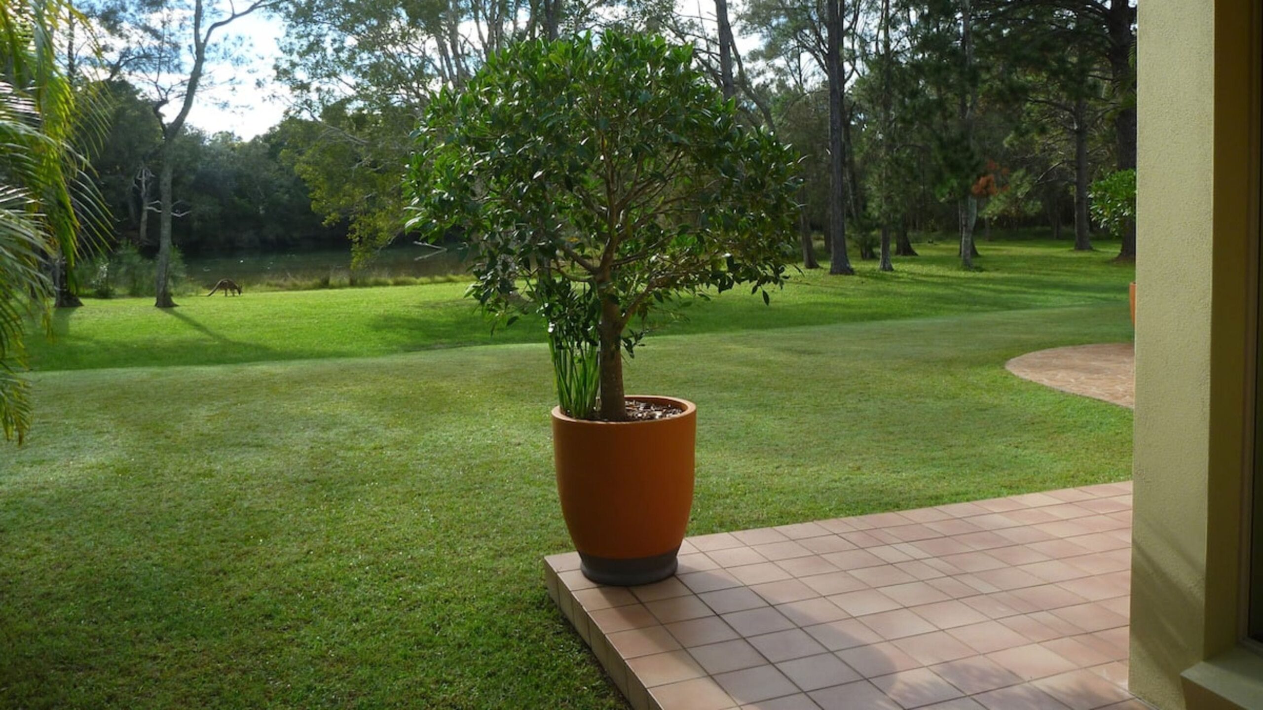Your water view from the studio.