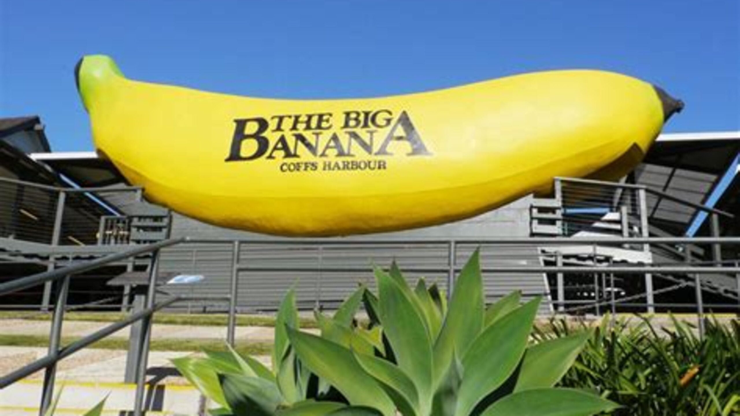 Rainbow Farm, Upper Orara