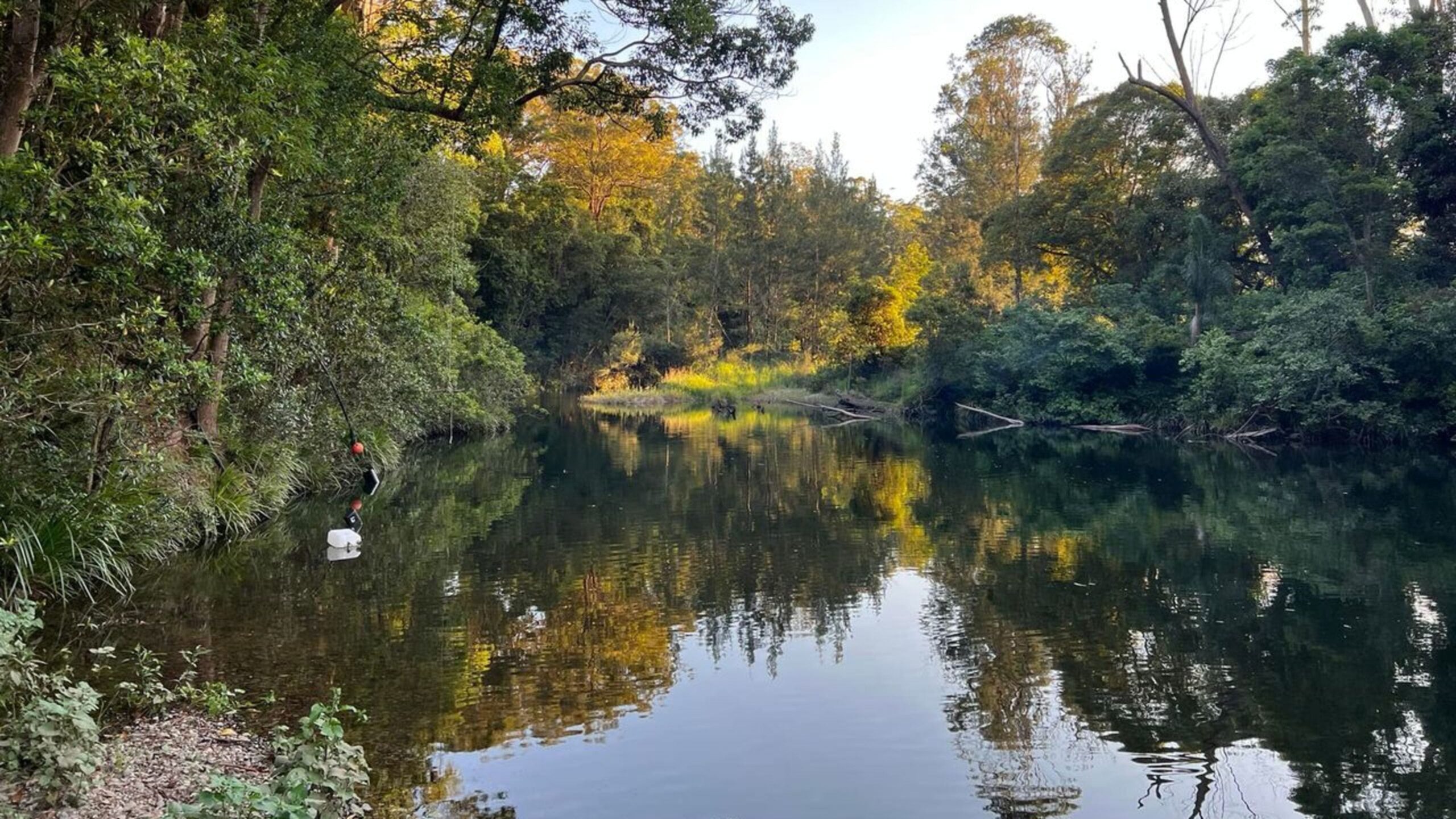 Rainbow Farm, Upper Orara