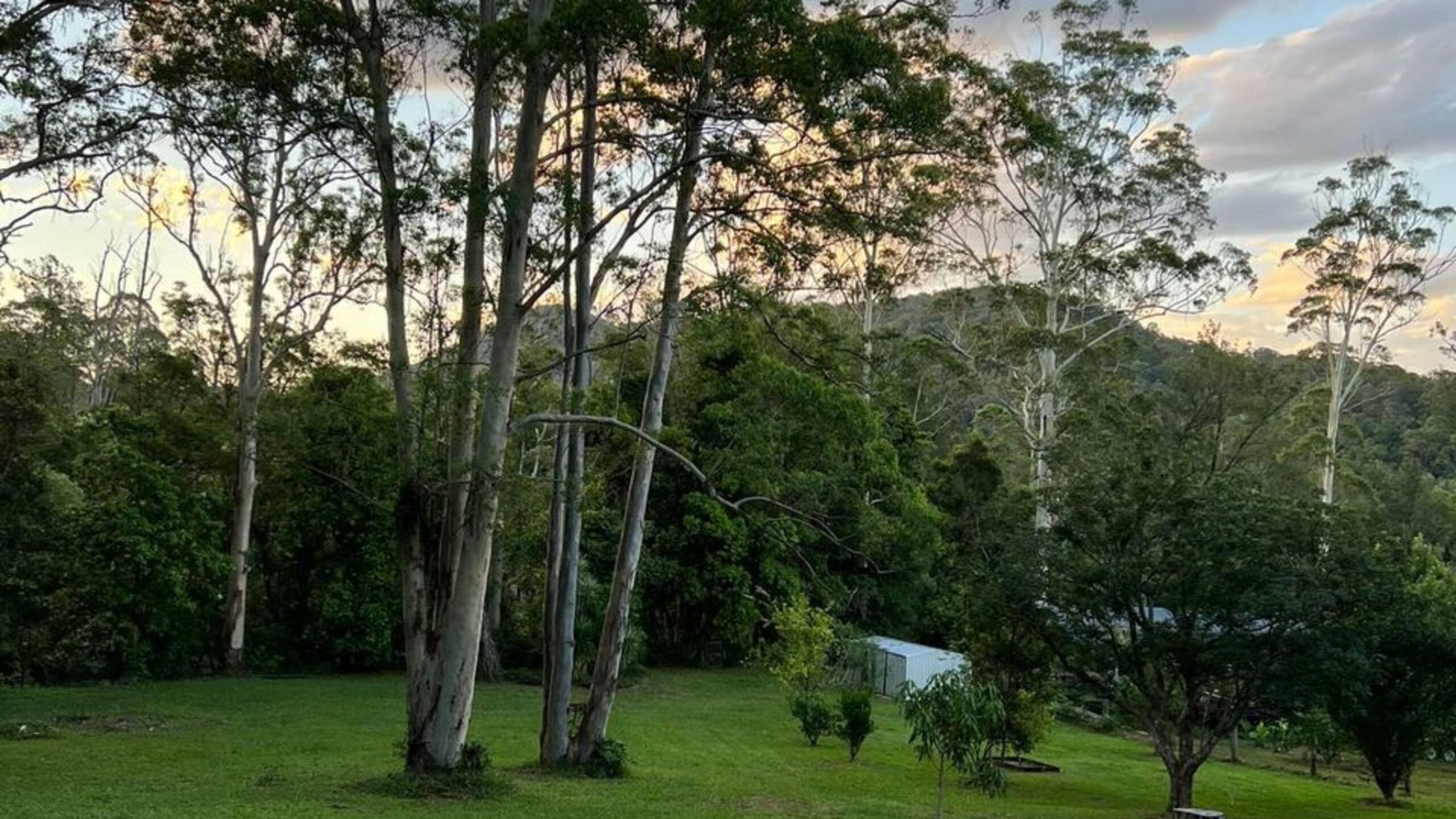 Rainbow Farm, Upper Orara