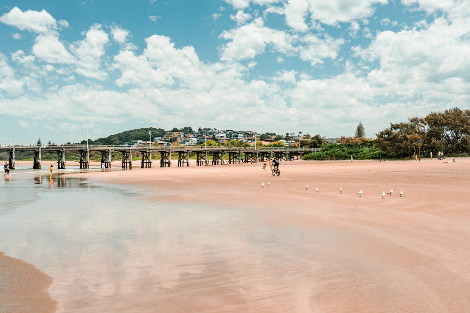 Jetty Beach At Low Tide