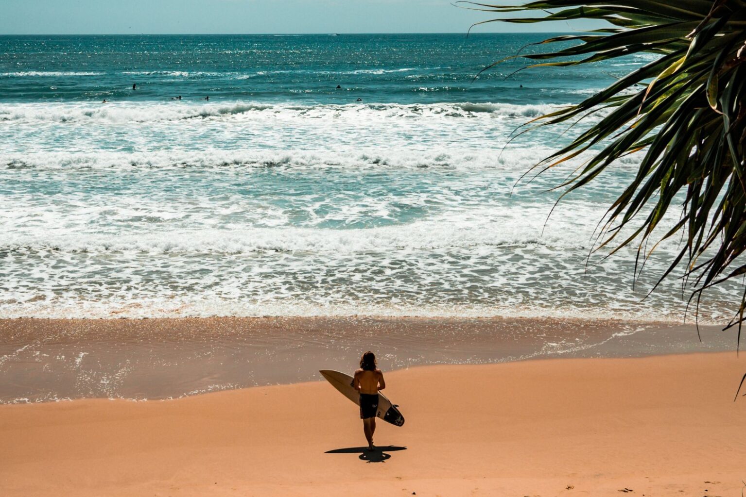 Diggers Beach Surfer