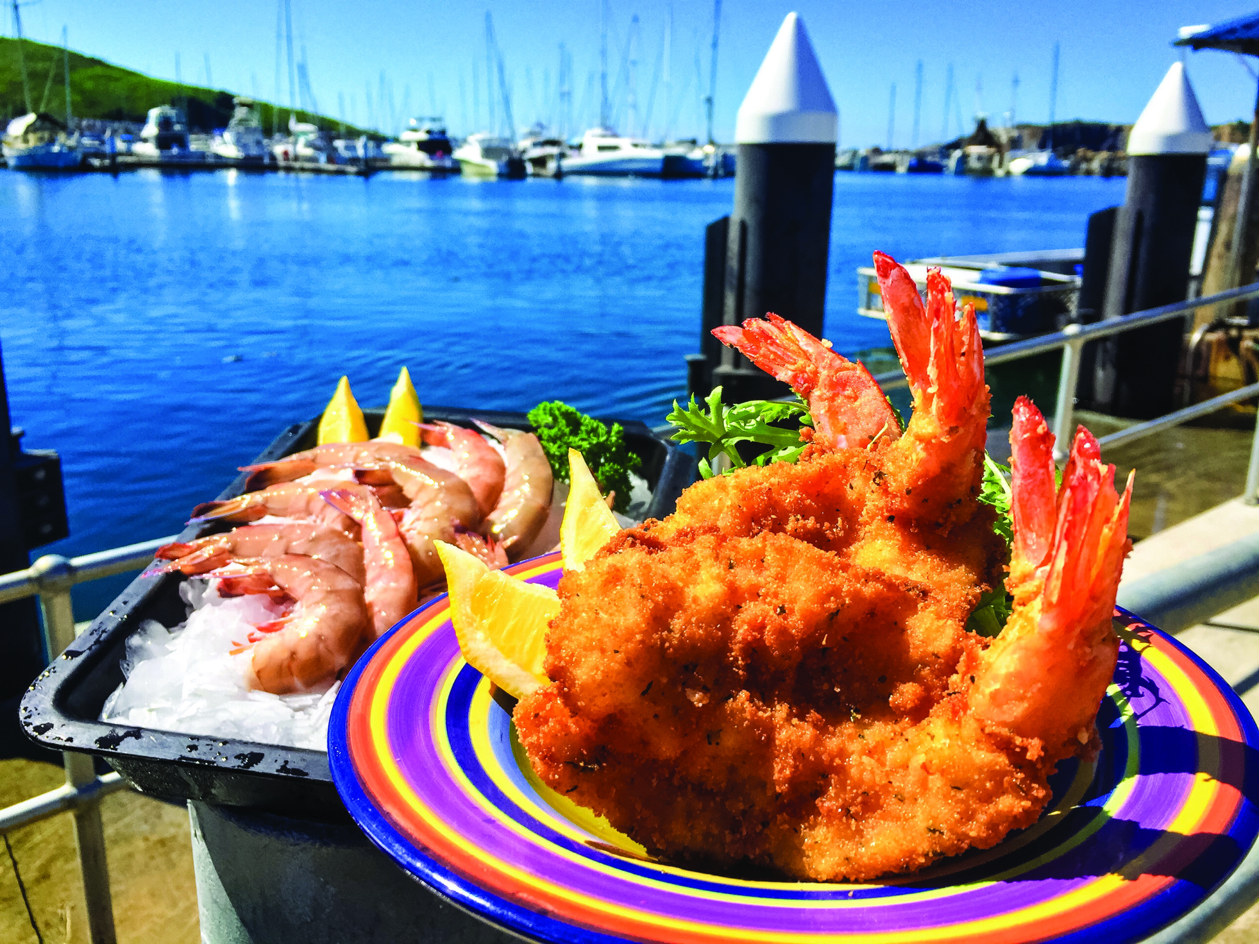 Fresh And Cooked Seafood From Fishermans Coop