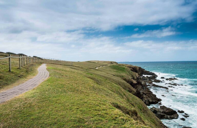 Look at me Now Healand walk, Moonee Beach Nature Reserve. Photo: David Young